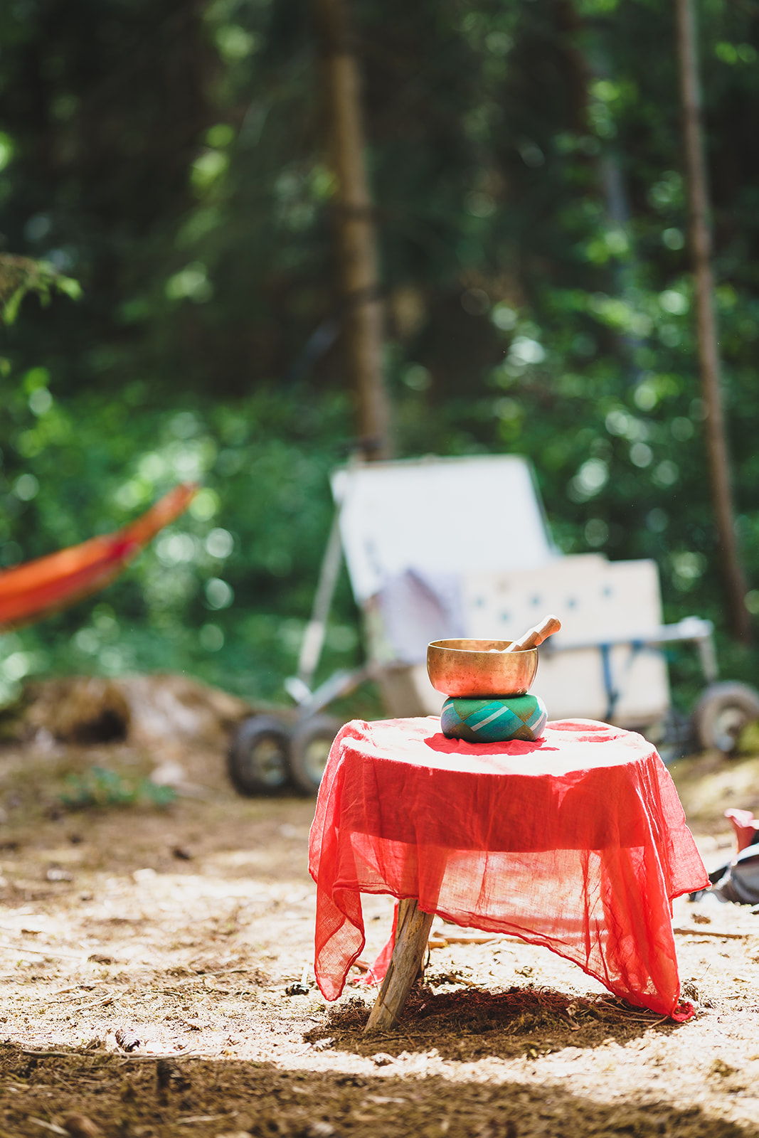 Zwei Erwachsene sitzen im Wald entspannt beisammen