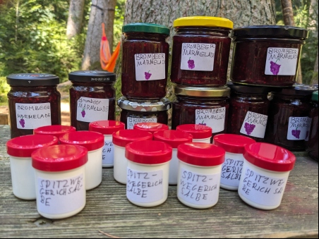 Kinder toben im Sommerwald