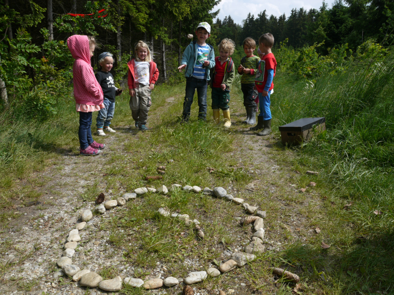 geburtstag-wald-schlicht