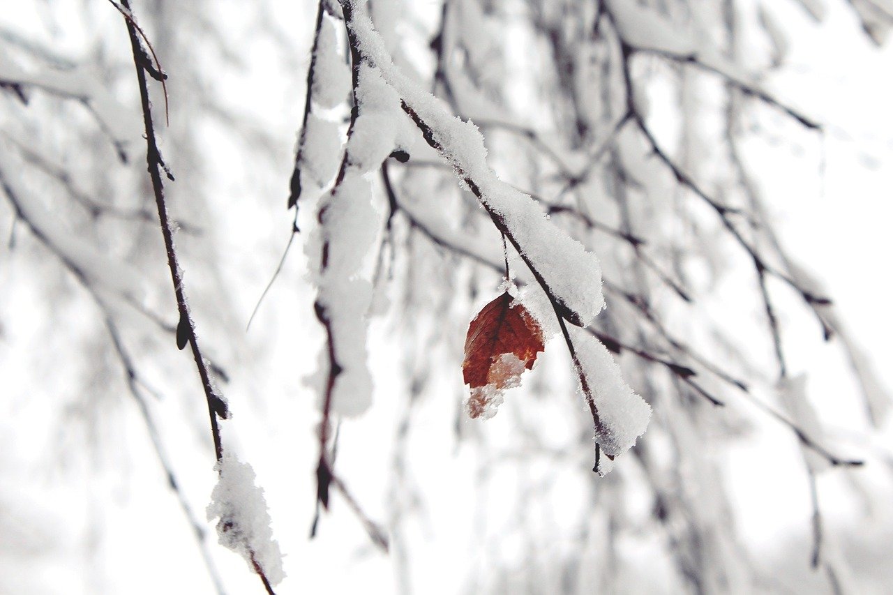 snow-1148773_1280
